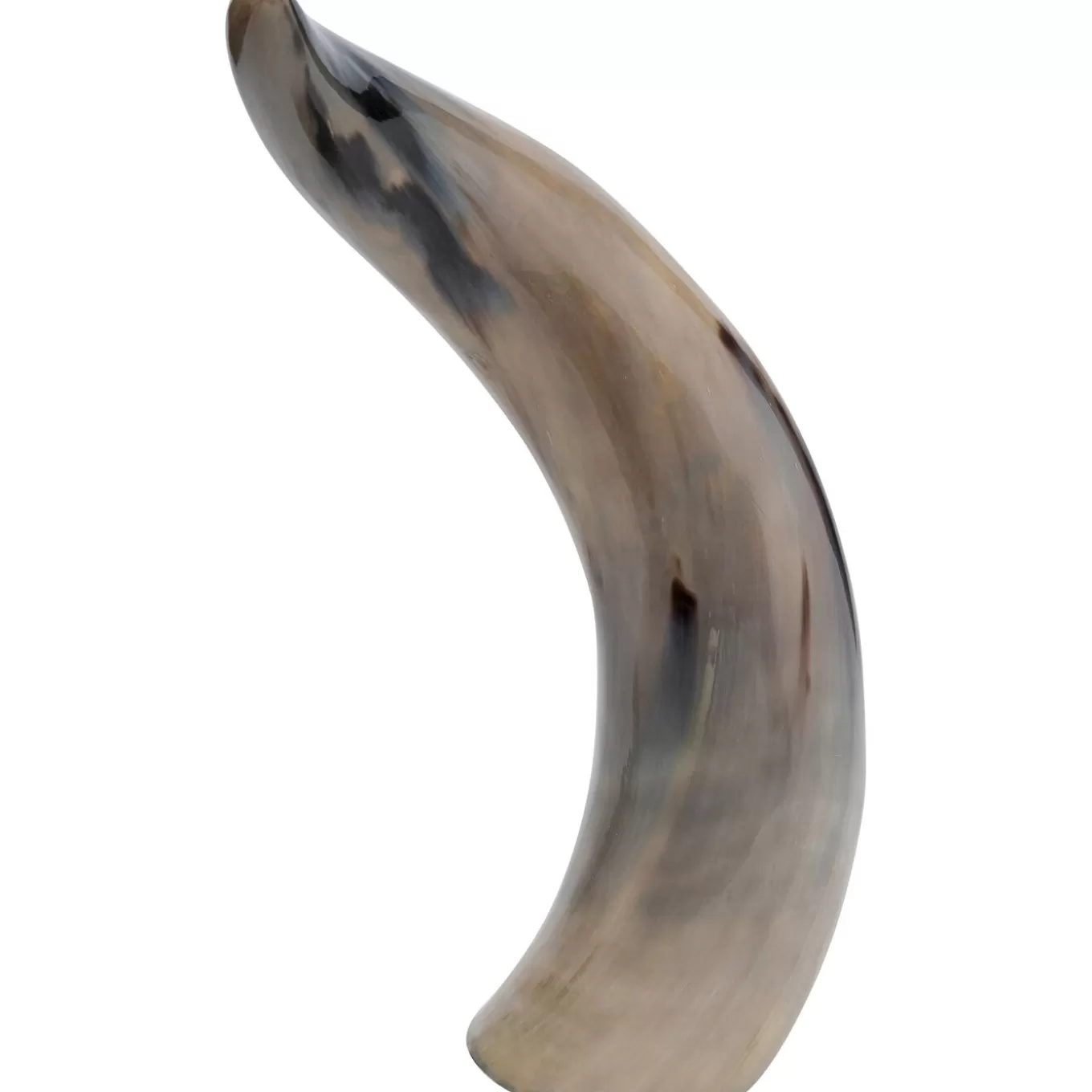 Deco Object Natural Horn^KARE Design Best Sale