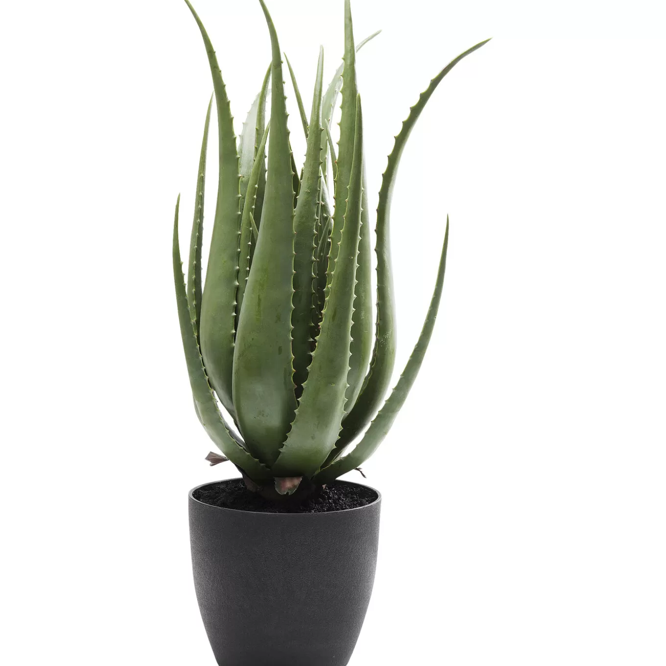 Deco Plant Aloe 69Cm^KARE Design Cheap