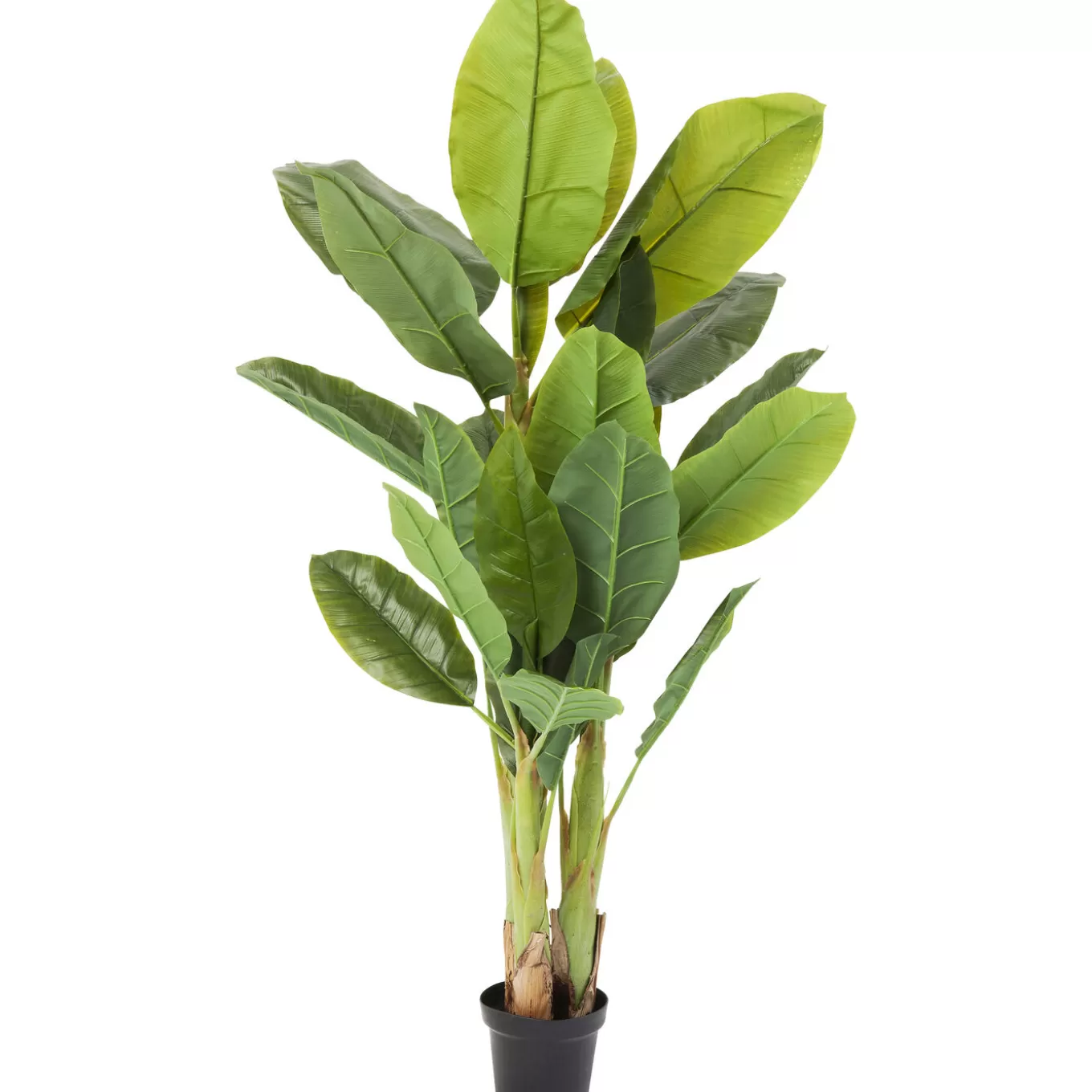 Deco Plant Banana Tree 180Cm^KARE Design Best