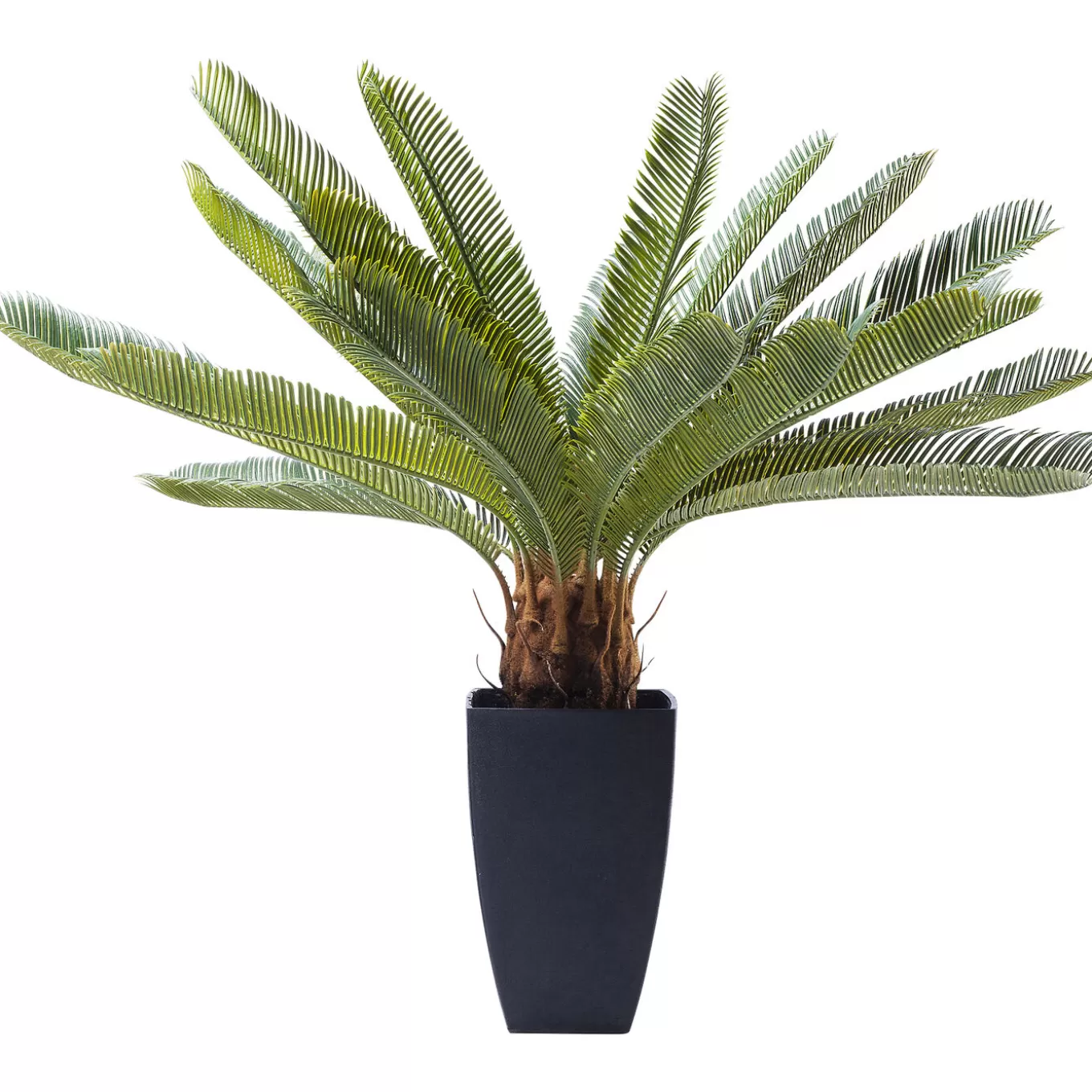 Deco Plant Cycas Tree 78Cm^KARE Design Cheap