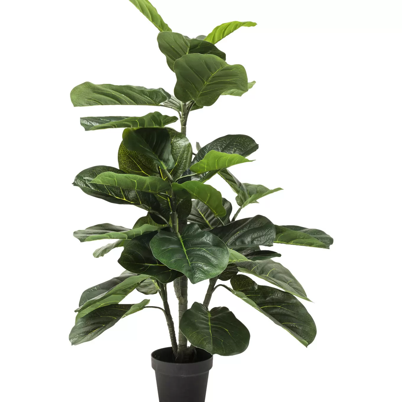 Deco Plant Fiddle Leaf 120Cm^KARE Design Cheap