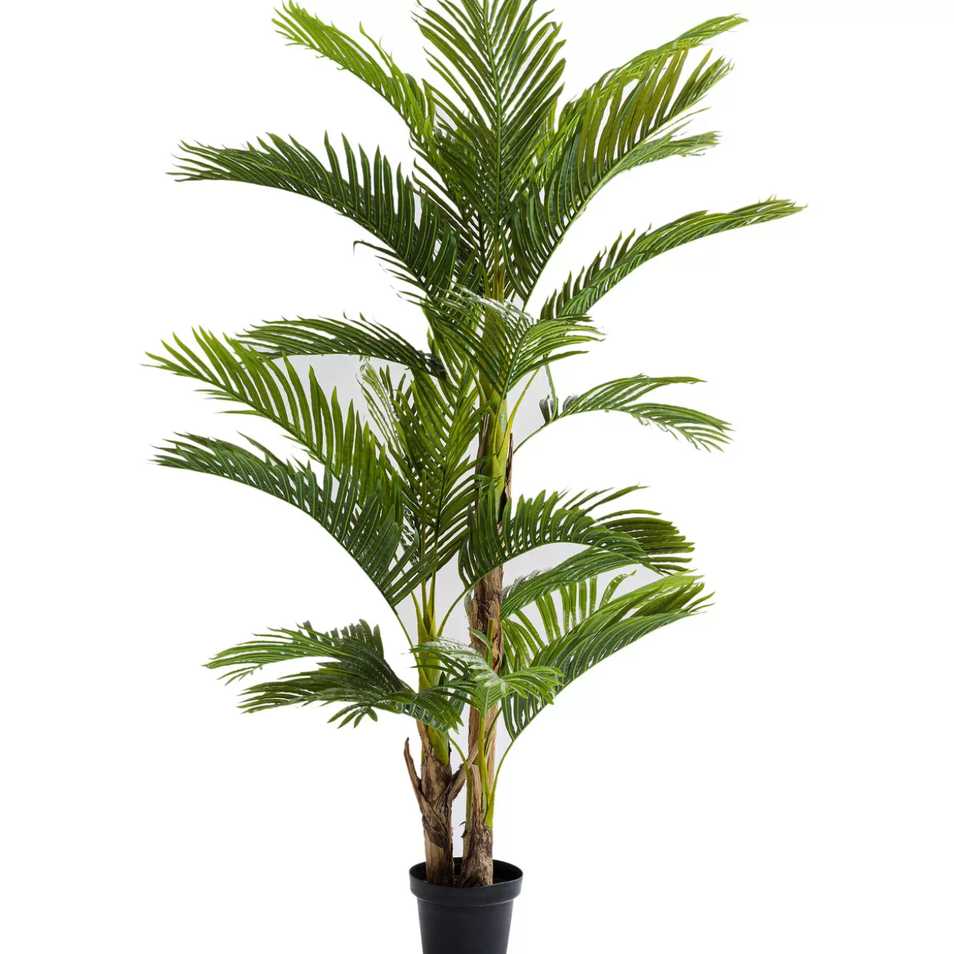 Deco Plant Palm Tree 190Cm^KARE Design Sale