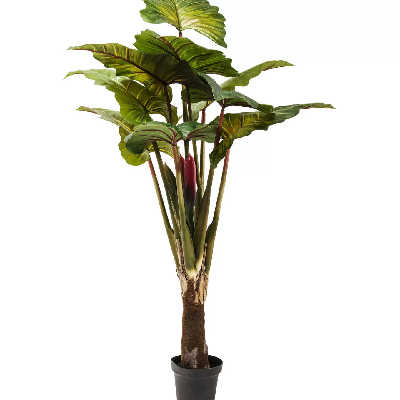 Deco Plant Rainforest Green 160Cm^KARE Design Online