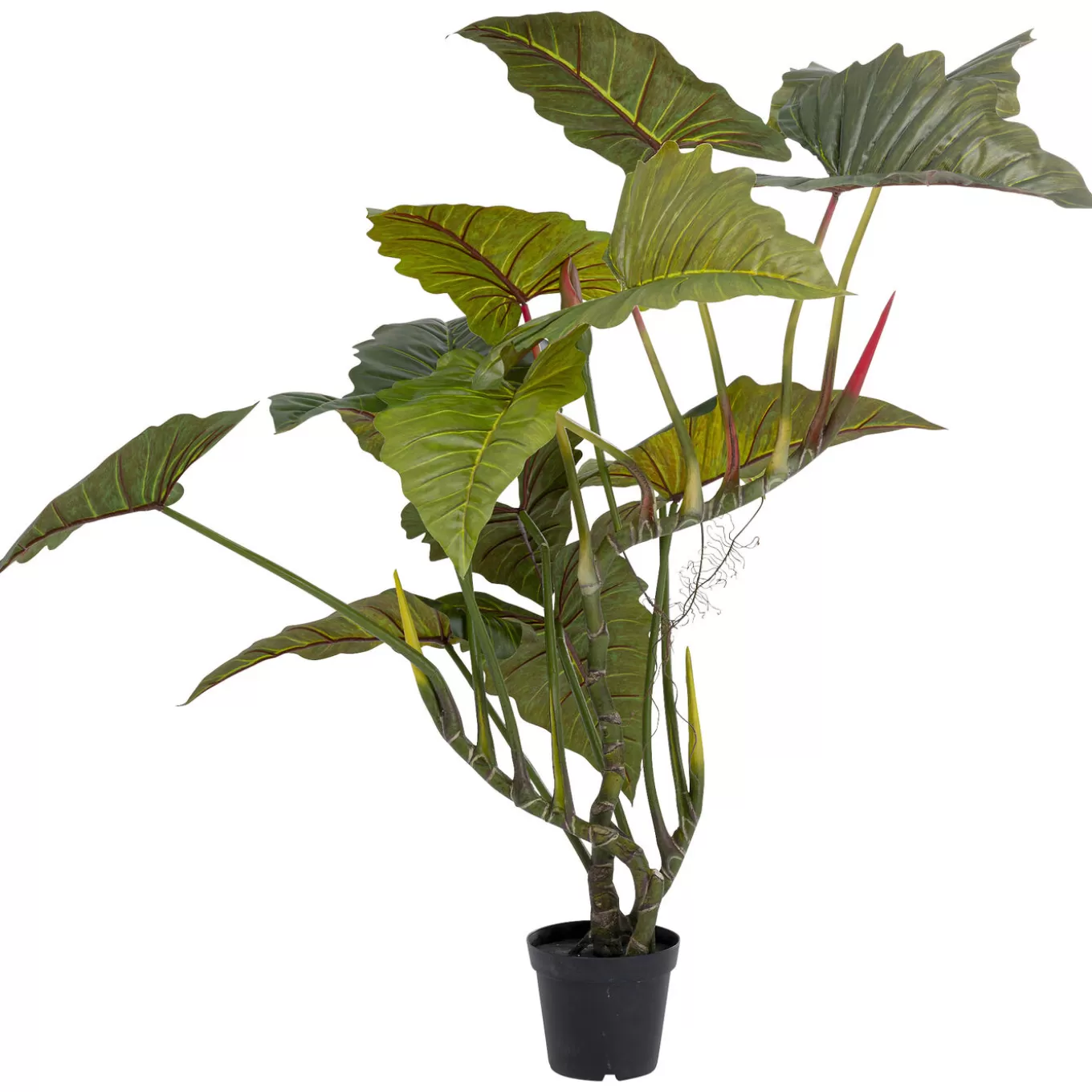 Deco Plant Taro 180^KARE Design Store