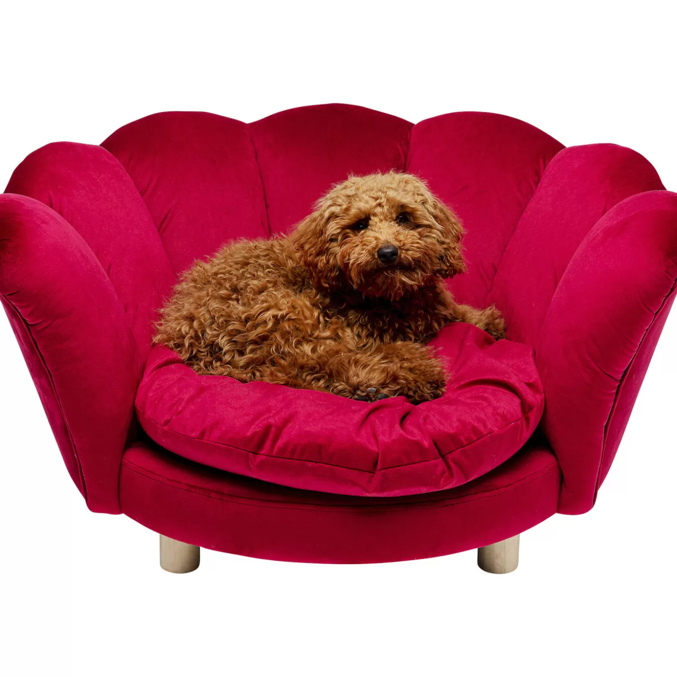 Dog/Cat Bed Water Lily Red^KARE Design Outlet