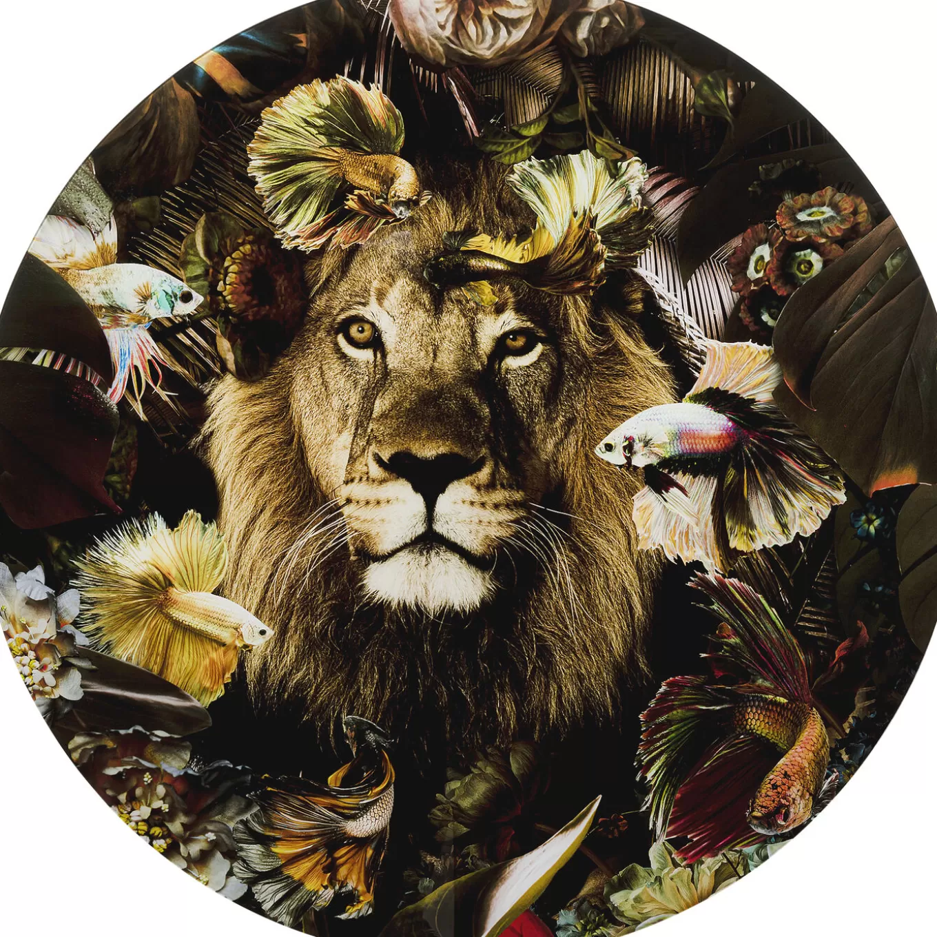 Glass Picture Curious Lion O100Cm^KARE Design Sale