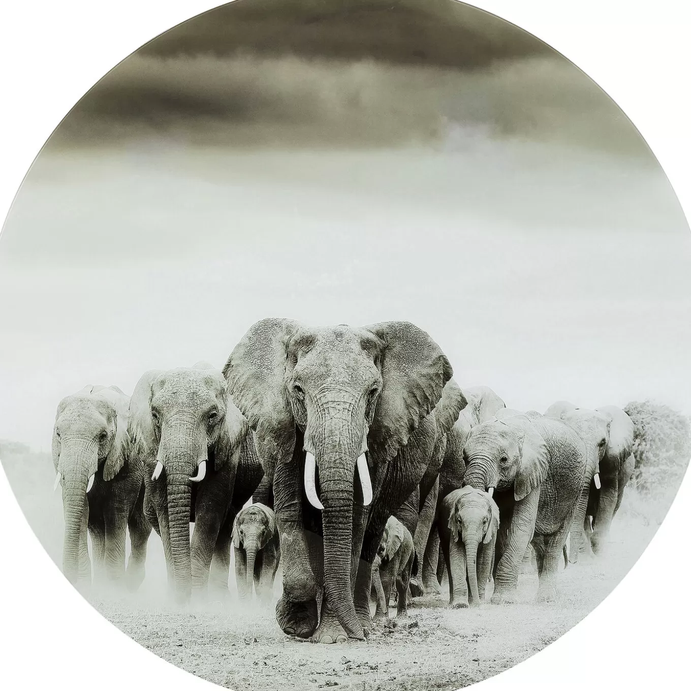 Glass Picture Elephant Walk O120Cm^KARE Design Cheap