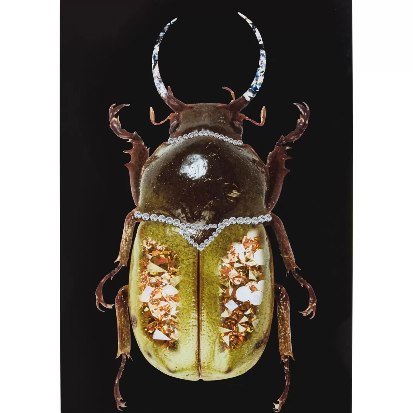 Glass Picture Shiney Dung Beetle 80X120Cm^KARE Design Discount