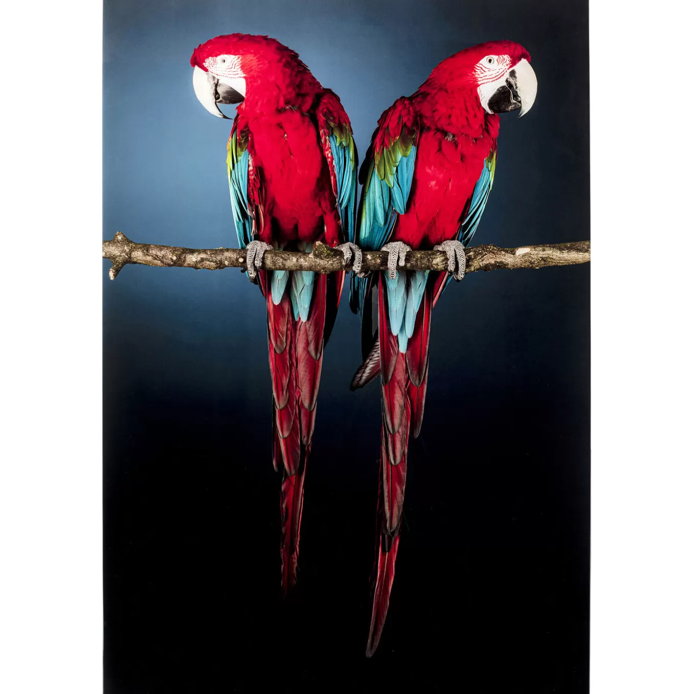 Glass Picture Twin Parrot 80X120Cm^KARE Design Clearance