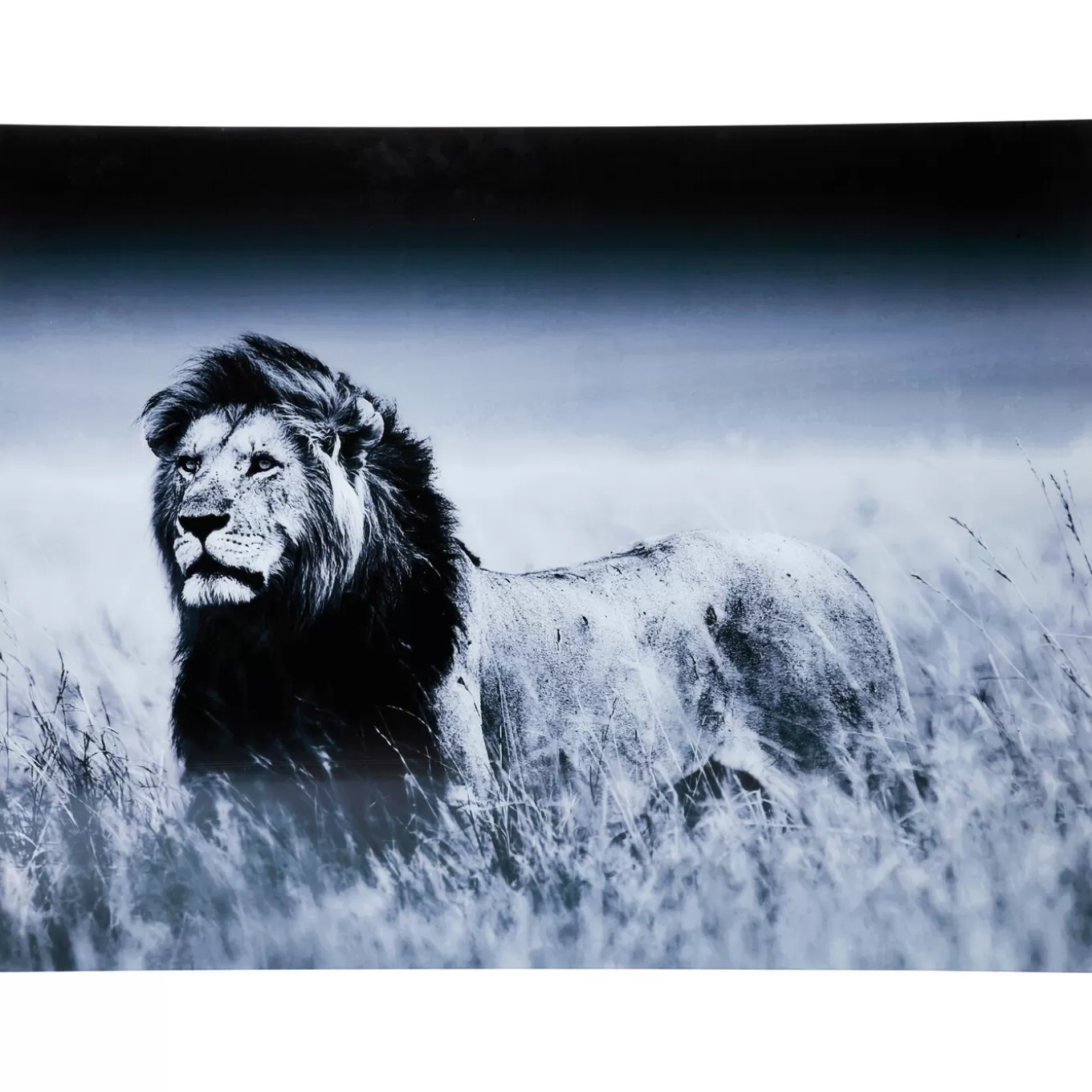 Picture Glass Lion King Standing 160X120Cm^KARE Design Shop