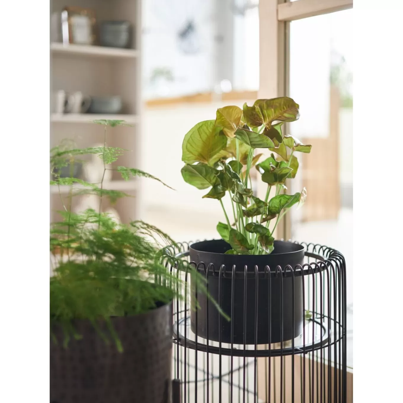 Plant Holder Wire Black 44Cm^KARE Design Store