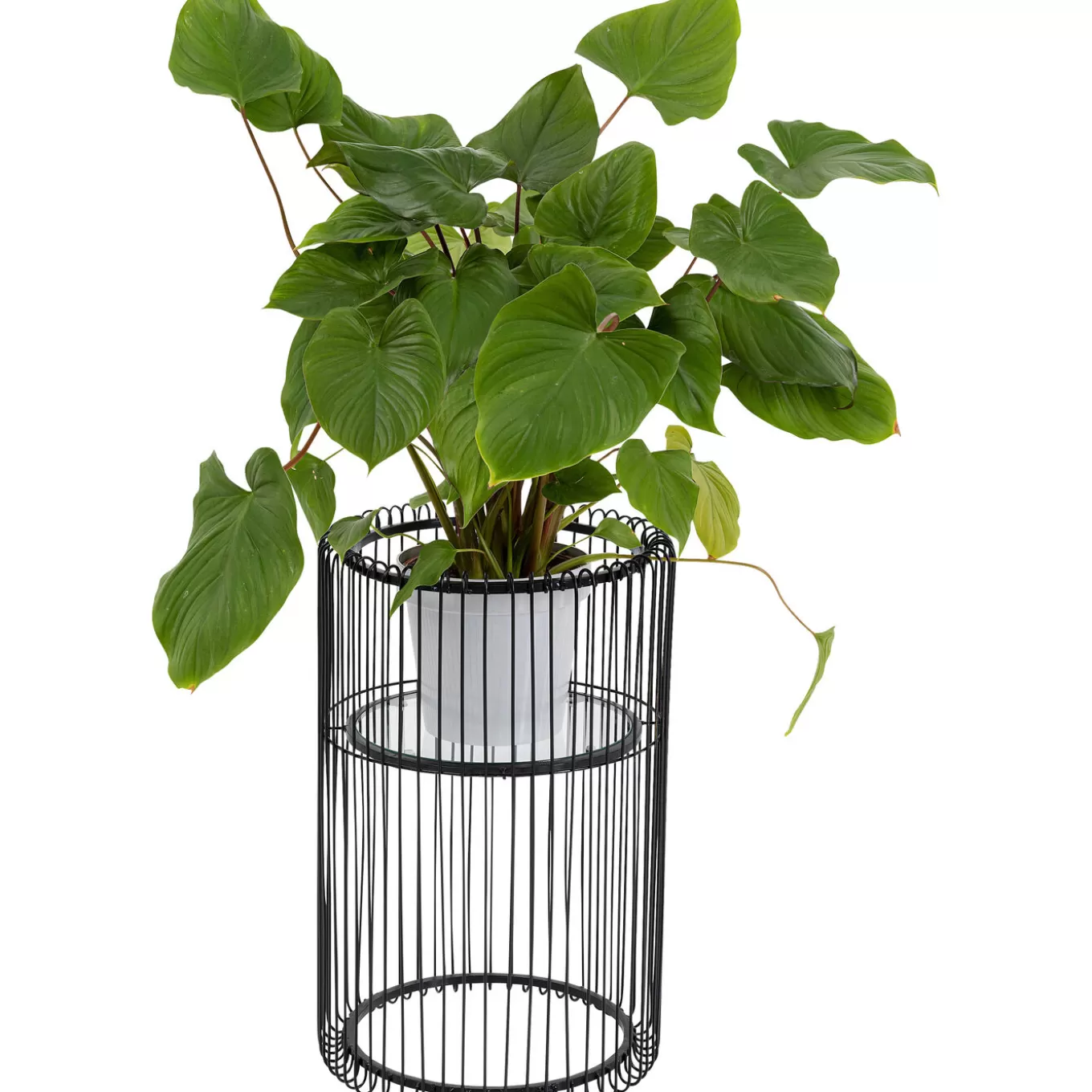 Plant Holder Wire Black 57Cm^KARE Design Fashion