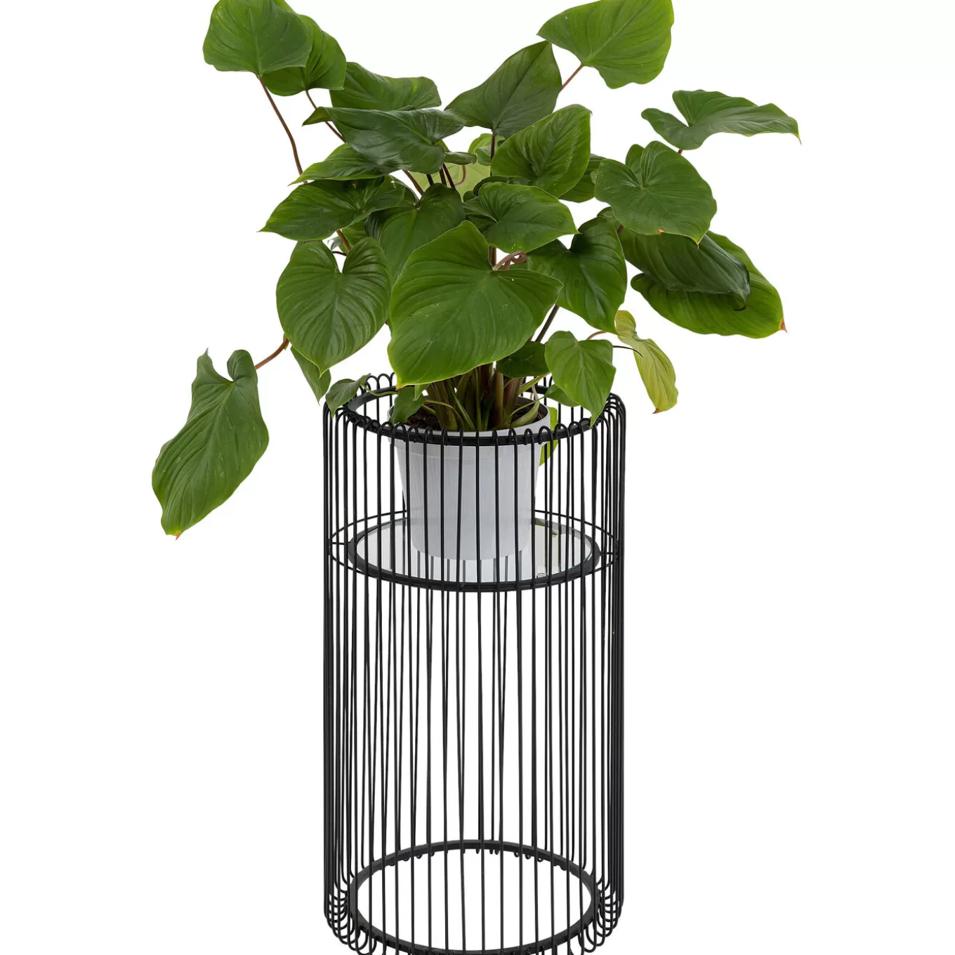 Plant Holder Wire Black 70Cm^KARE Design Sale