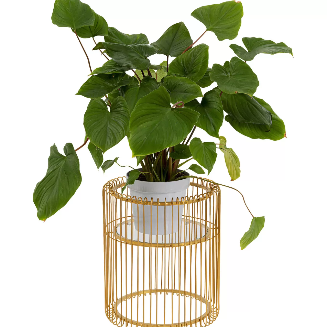 Plant Holder Wire Gold 44Cm^KARE Design Best