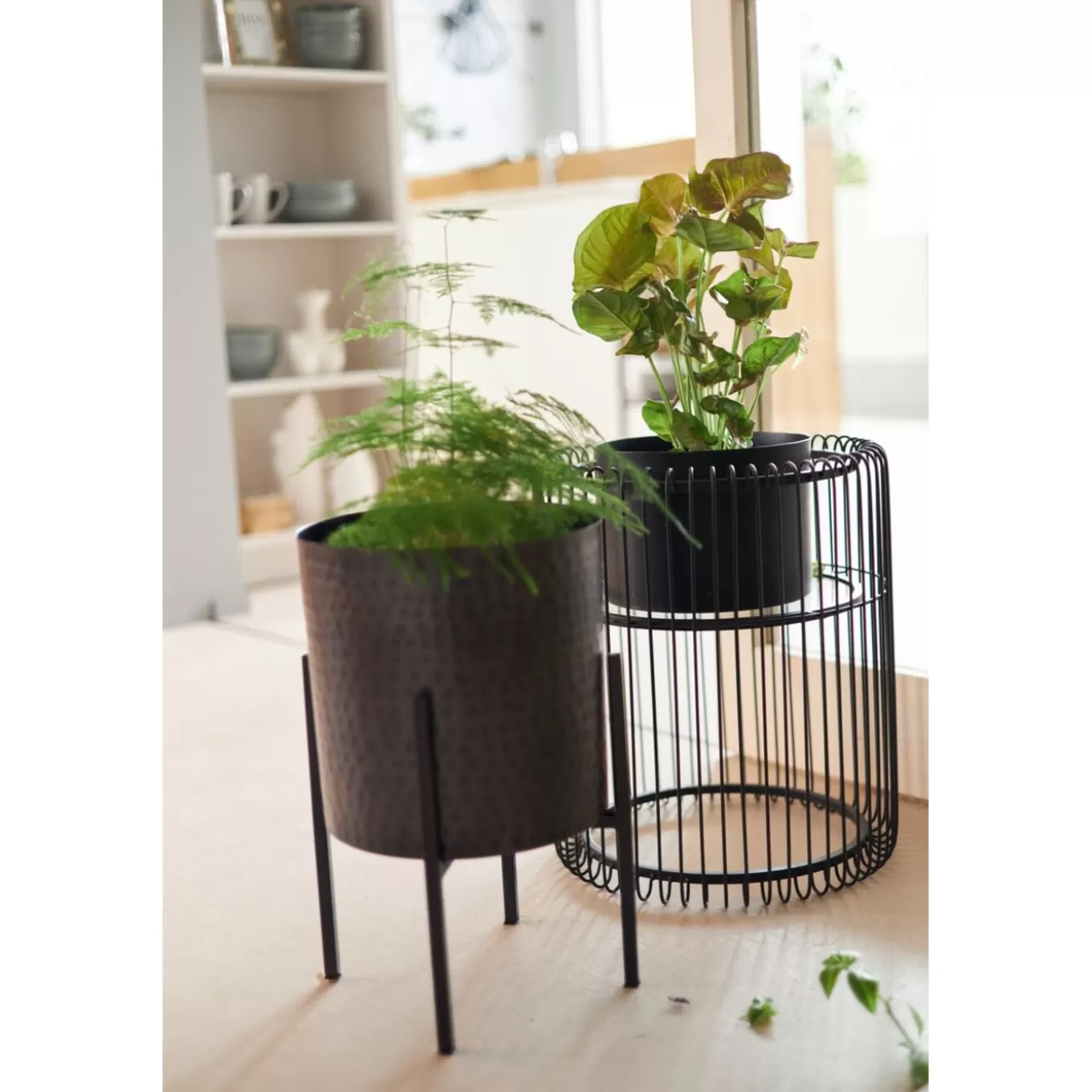 Plant Pot Mynah Black 42Cm^KARE Design Hot