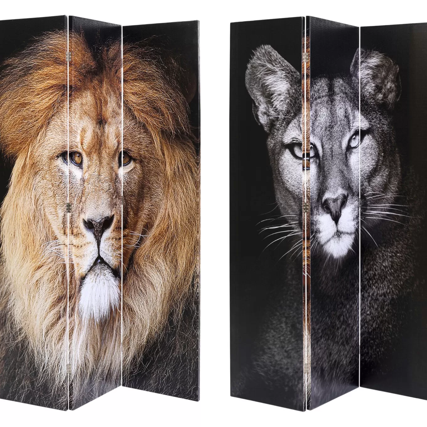 Room Divider King Lion Vs Cat Girl 120X180Cm^KARE Design Cheap