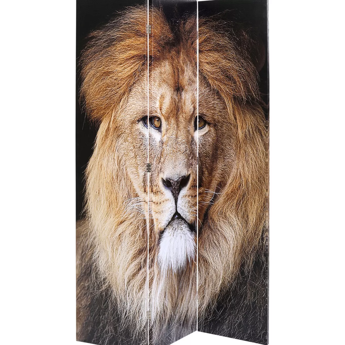 Room Divider King Lion Vs Cat Girl 120X180Cm^KARE Design Cheap